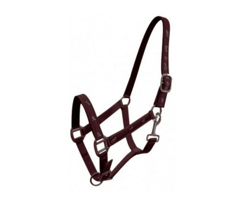 Running Horse Overlay Padded Nylon Halter | Multicolor beautiful halters