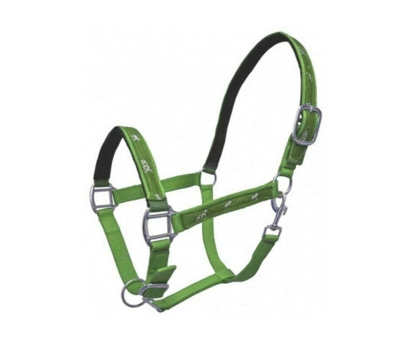 Running Horse Overlay Padded Nylon Halter | Multicolor beautiful halters