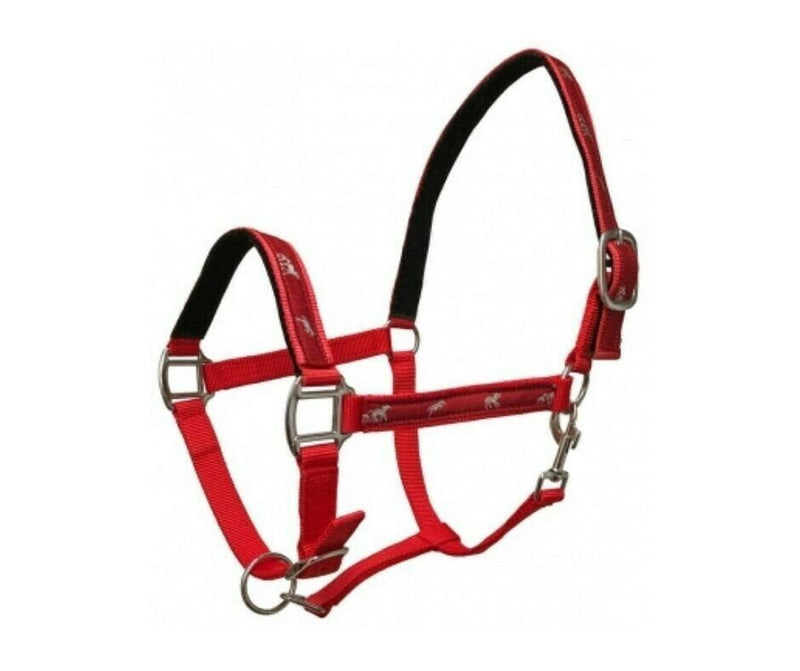 Running Horse Overlay Padded Nylon Halter | Multicolor beautiful halters