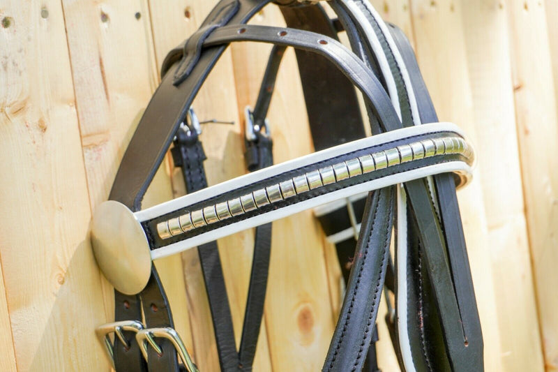 Black Horse Patent Leather Driving Harness White Trim Set Available In Pony and Full Horse