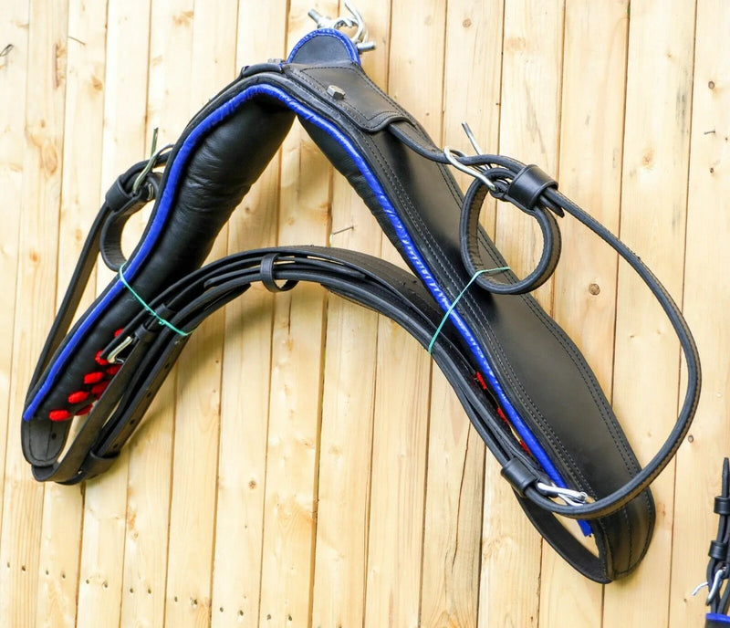 Black Horse Patent Leather Driving Harness Set Trim With Blue Pony and Full