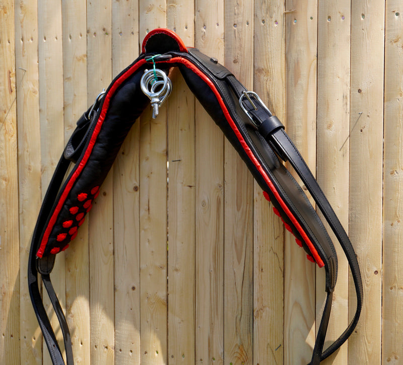 Full Size Leather Horse Driving Harness With Red Trim - Premium Quality