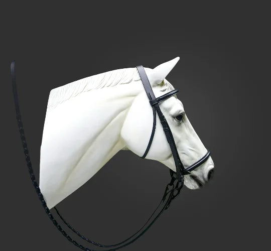 Plain Raised English Bridle - Premium Leather Quality with Stainless steel Hardware