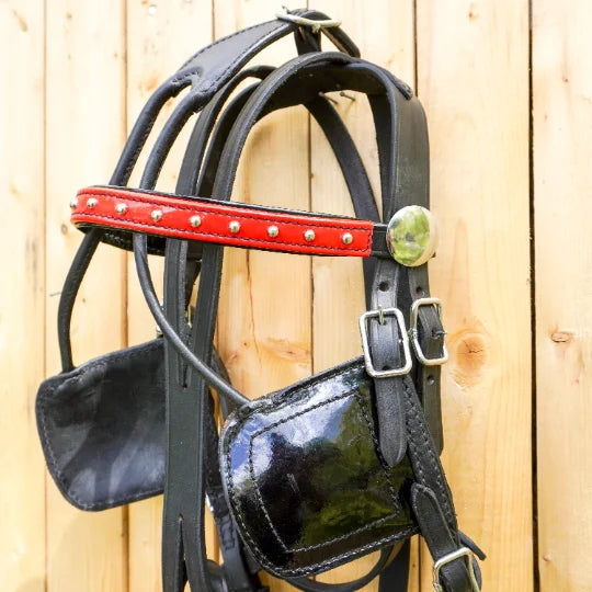 Miniature Small Horse Black Leather Round Stud Browband Driving Harness Set Trim With Red/White