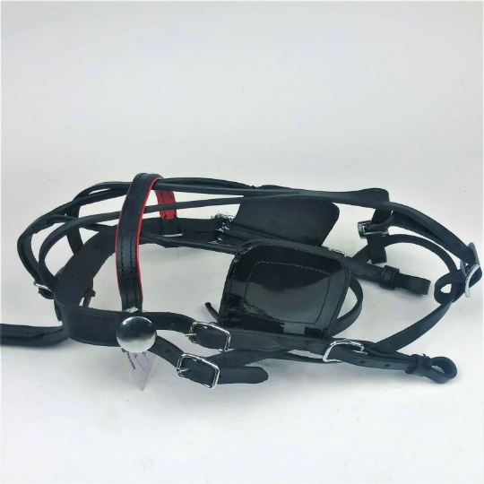 Miniature Horse Black Patent Leather Driving Harness With Red Trim