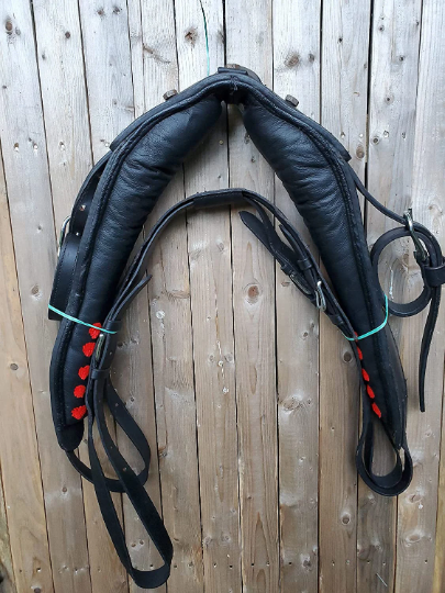 Black Full Size Horse Buffalo Leather Square Stud Browband Driving Harness Set