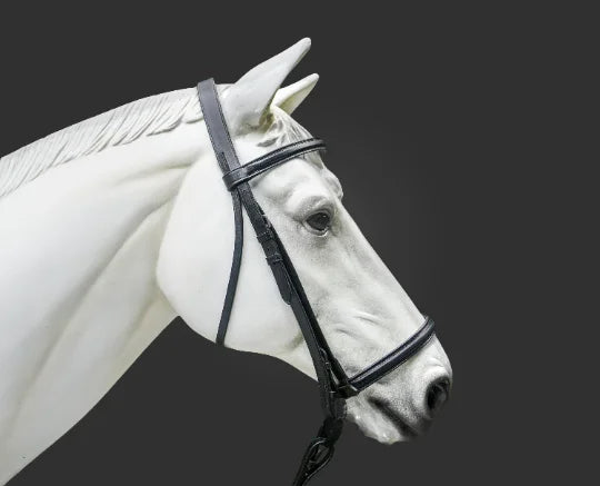 Plain Raised English Bridle - Premium Leather Quality with Stainless steel Hardware