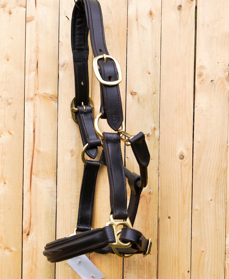 Leather Horse Halter Fancy Stitched - Brass Hardware