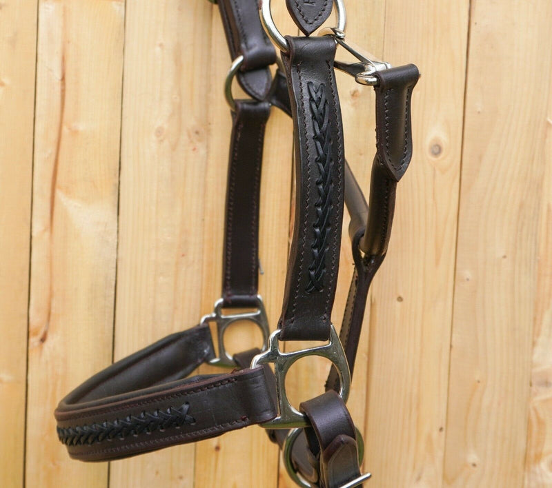 Leather Horse Halter Hand-Braided - SS Hardware