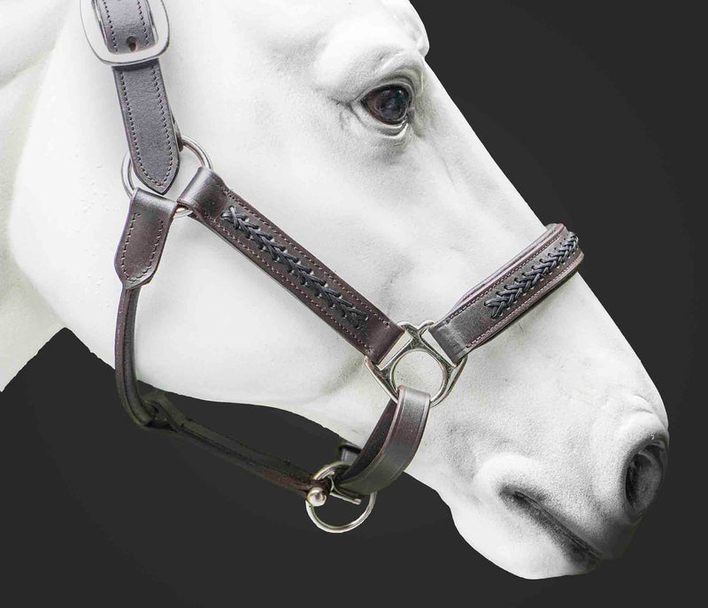 Leather Horse Halter Hand-Braided - SS Hardware